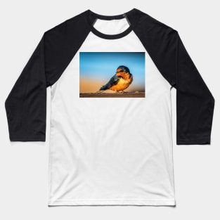 Barn Swallow on a Rail Baseball T-Shirt